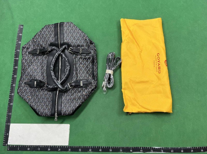 ph025 Goyard Bag