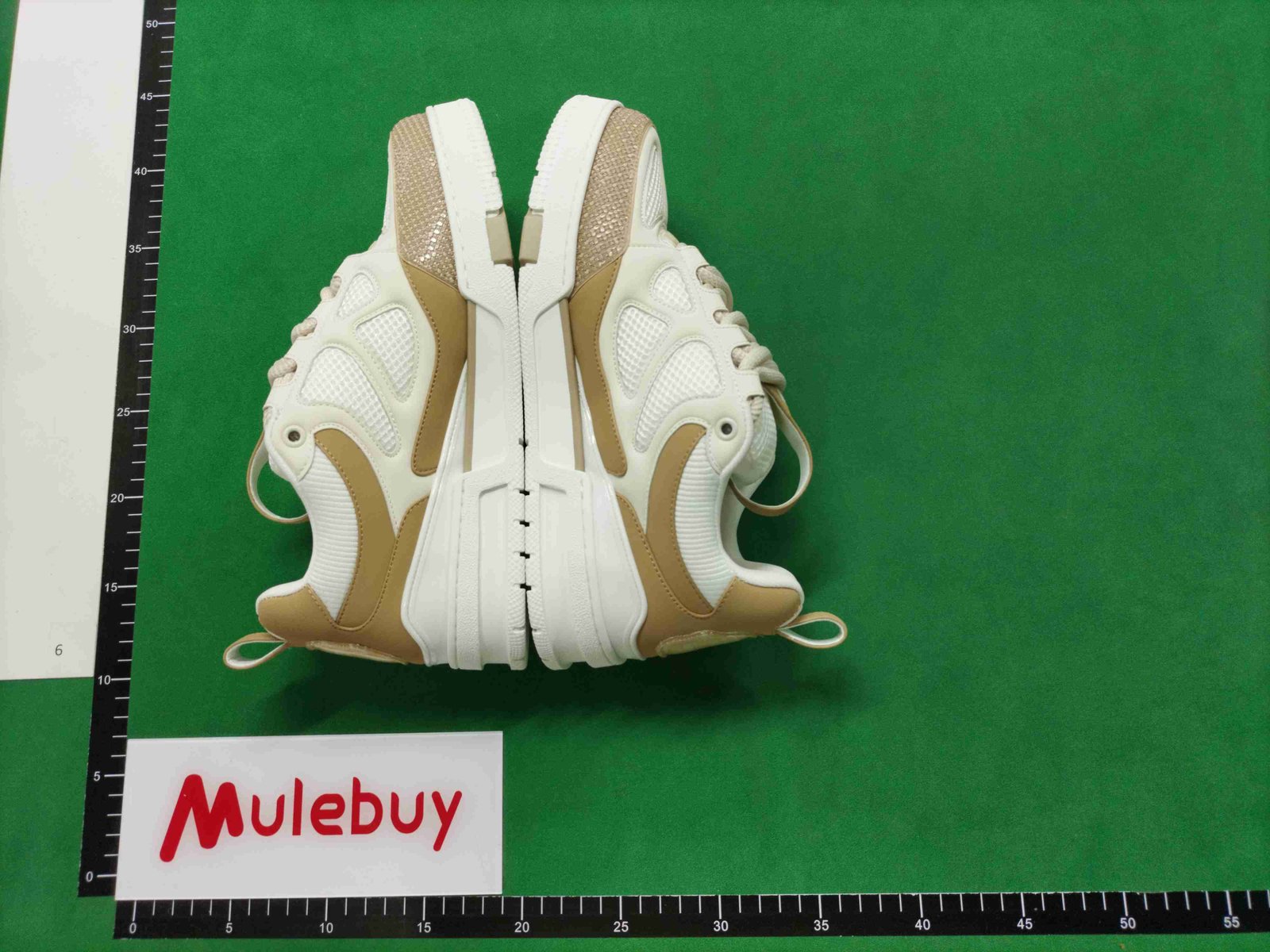 ph049 Louis vuitton Trainer Skate