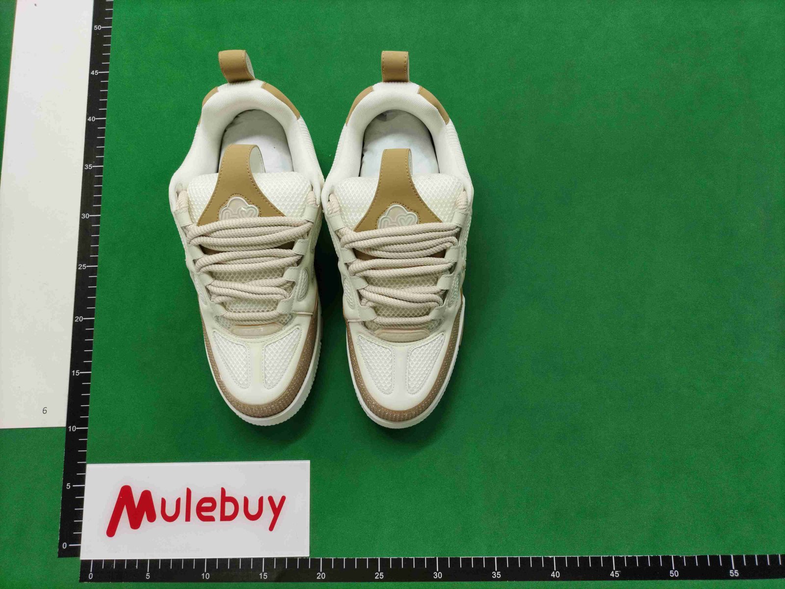 ph049 Louis vuitton Trainer Skate