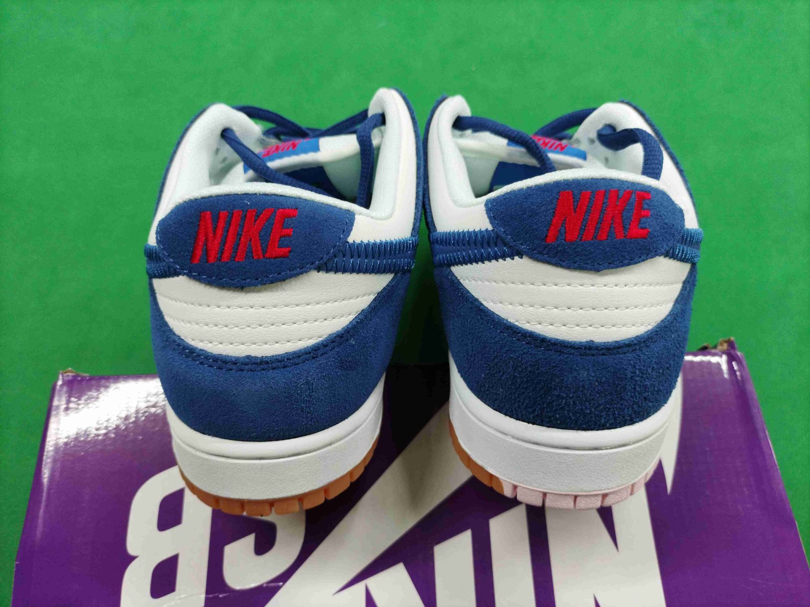 ph075 Dunk SB Low