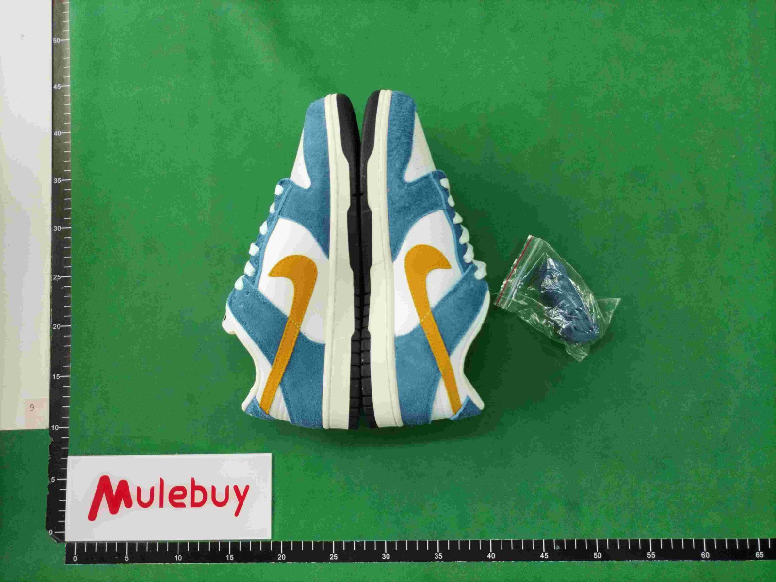 ph075 Dunk SB Low