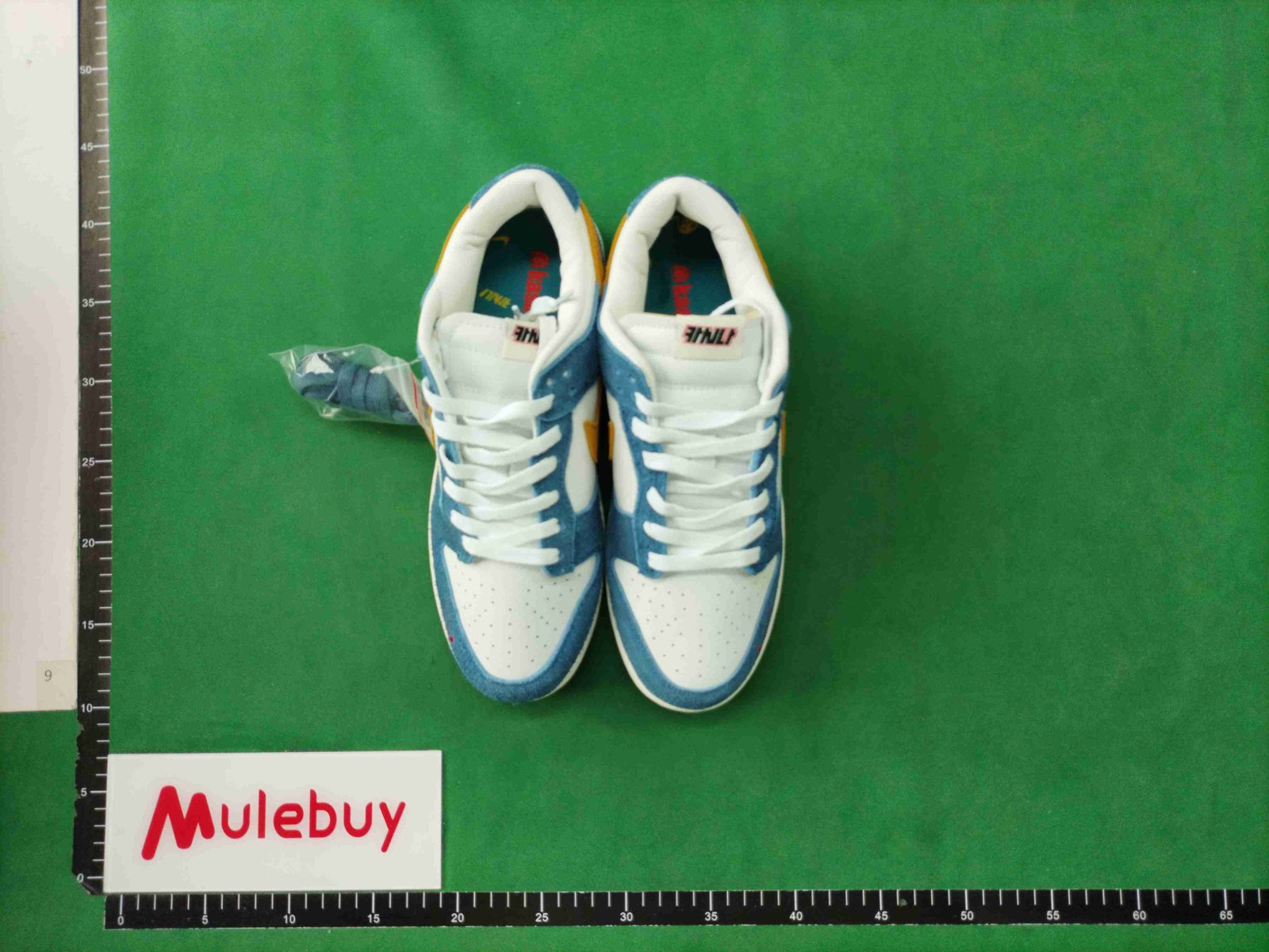 ph075 Dunk SB Low