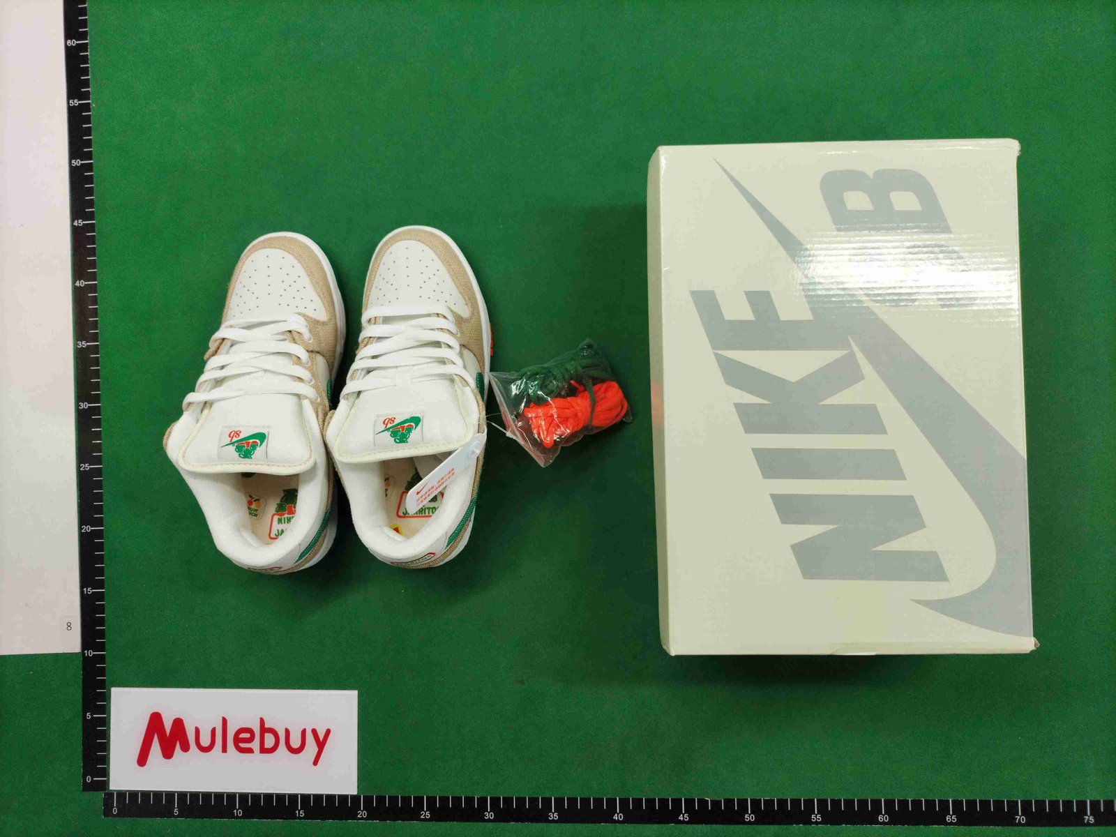 ph075 Dunk SB Low