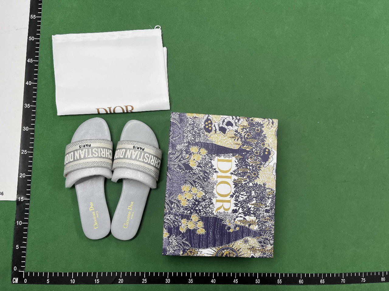 ph102 Dior Slide Slippers