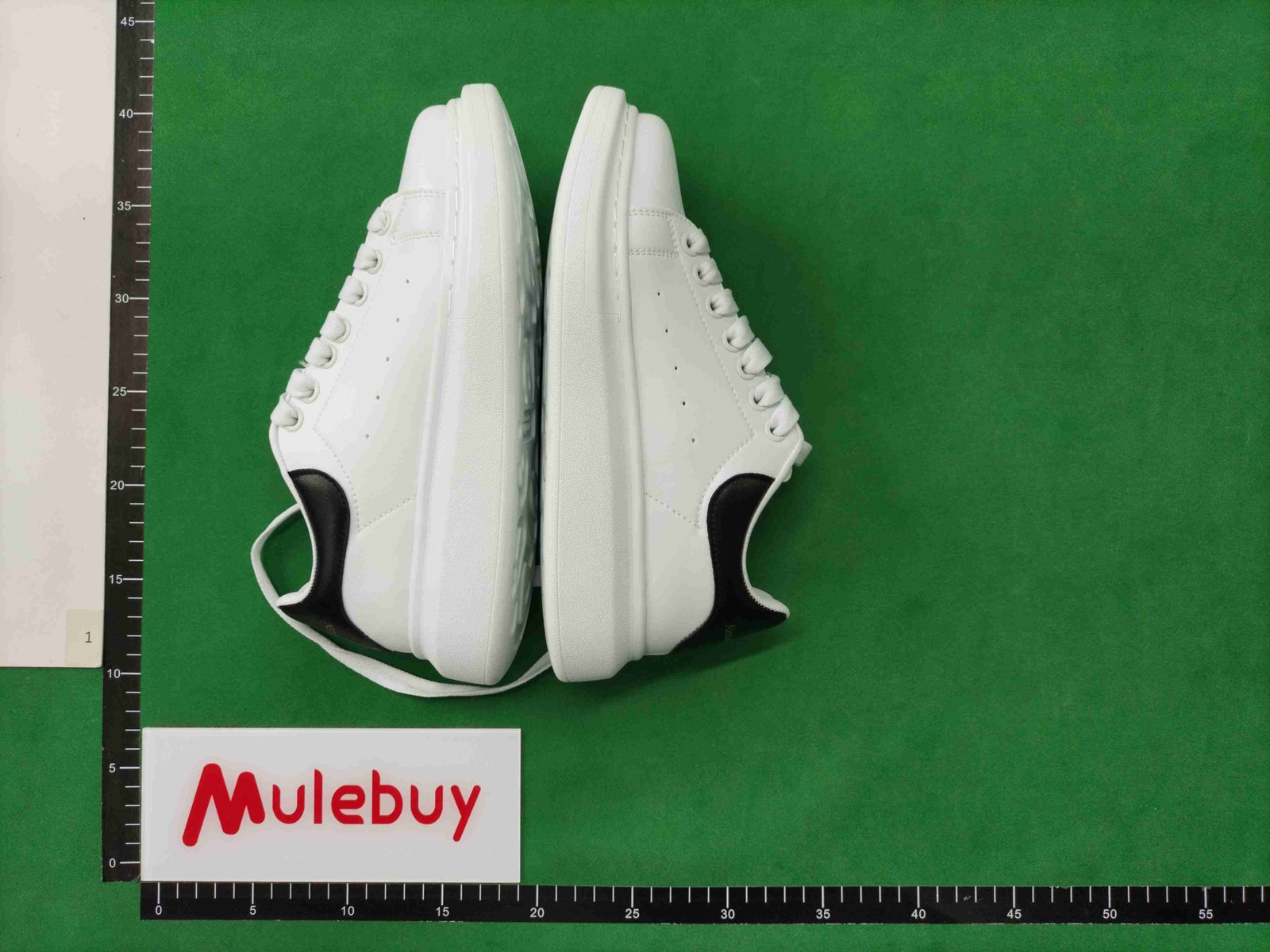 ph078 Alexander McQueen