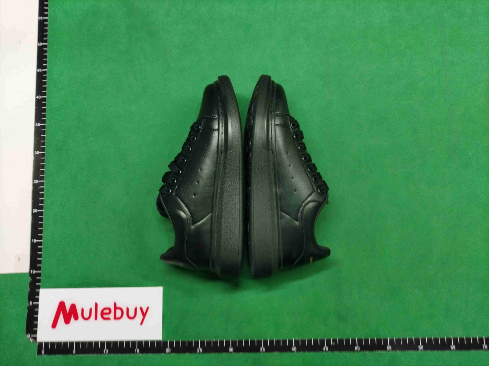 ph078 Alexander McQueen