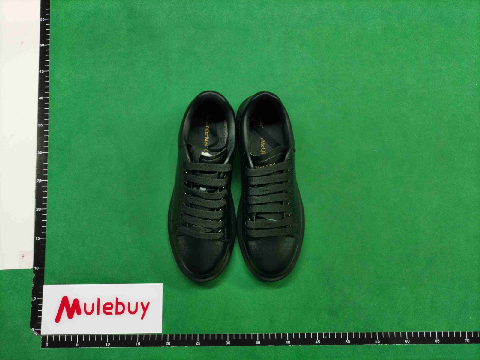 ph078 Alexander McQueen