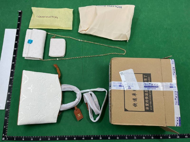 ph094 Louis vuitton LV Toe Bag