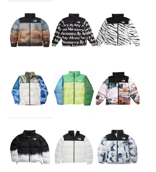 The North Face down jacket