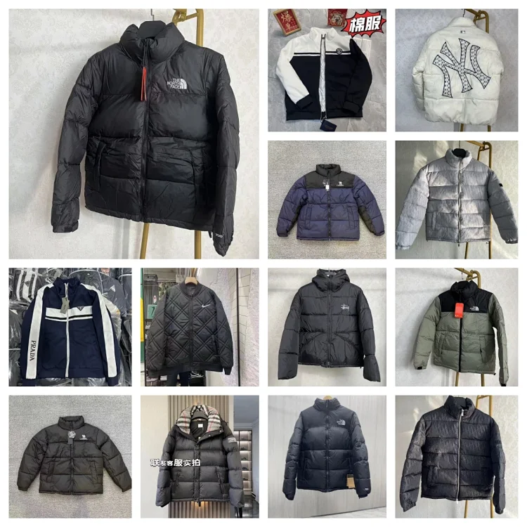 TNF Puffers /dior /Prada  Down jacket